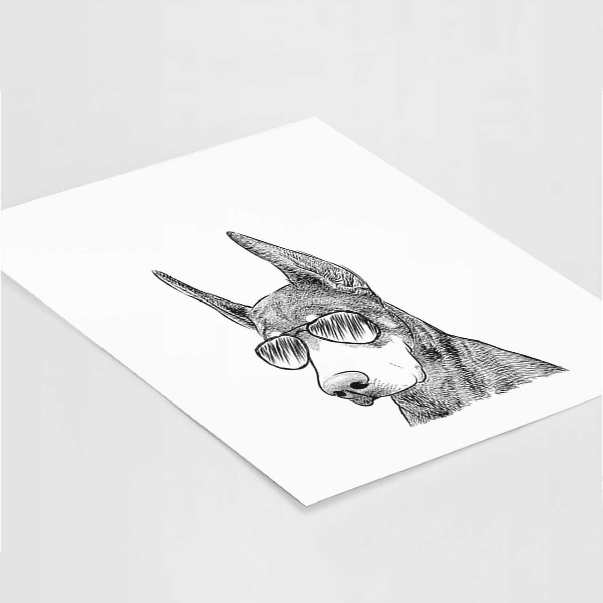 Sunny the Doberman Pinscher Art Print