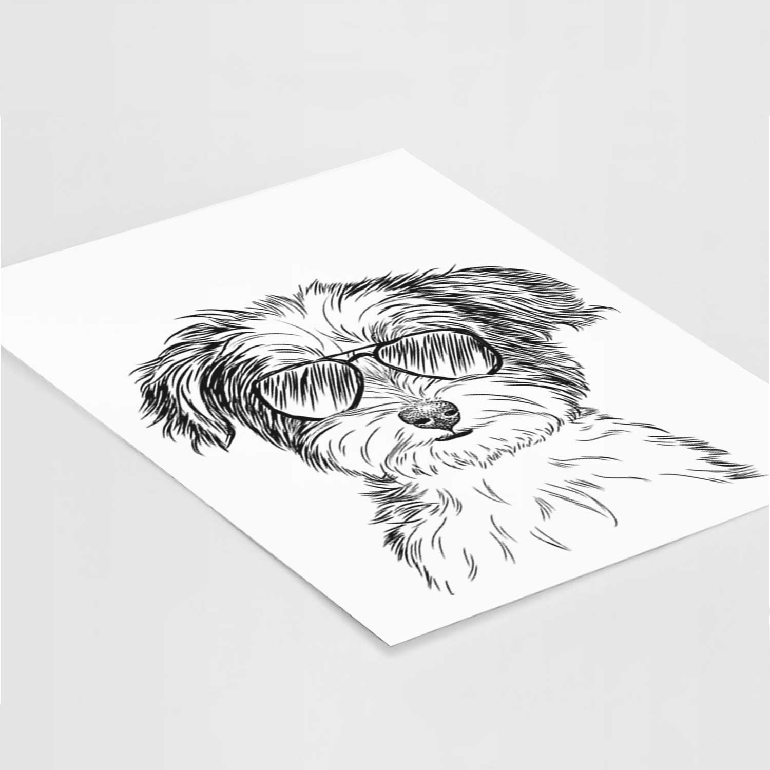 Teddy the Havanese Art Print