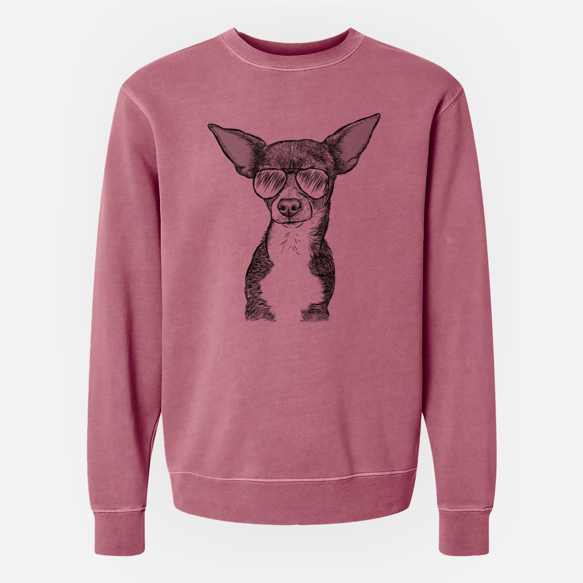 Aviator Tiny Archie the Mixed Breed - Unisex Pigment Dyed Crew Sweatshirt