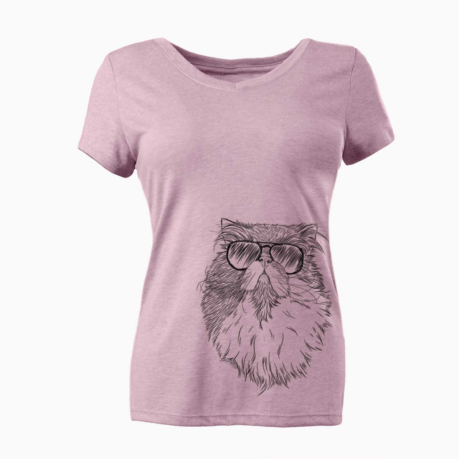 Aviator Tookie the Perisan Cat - Women's V-neck Shirt