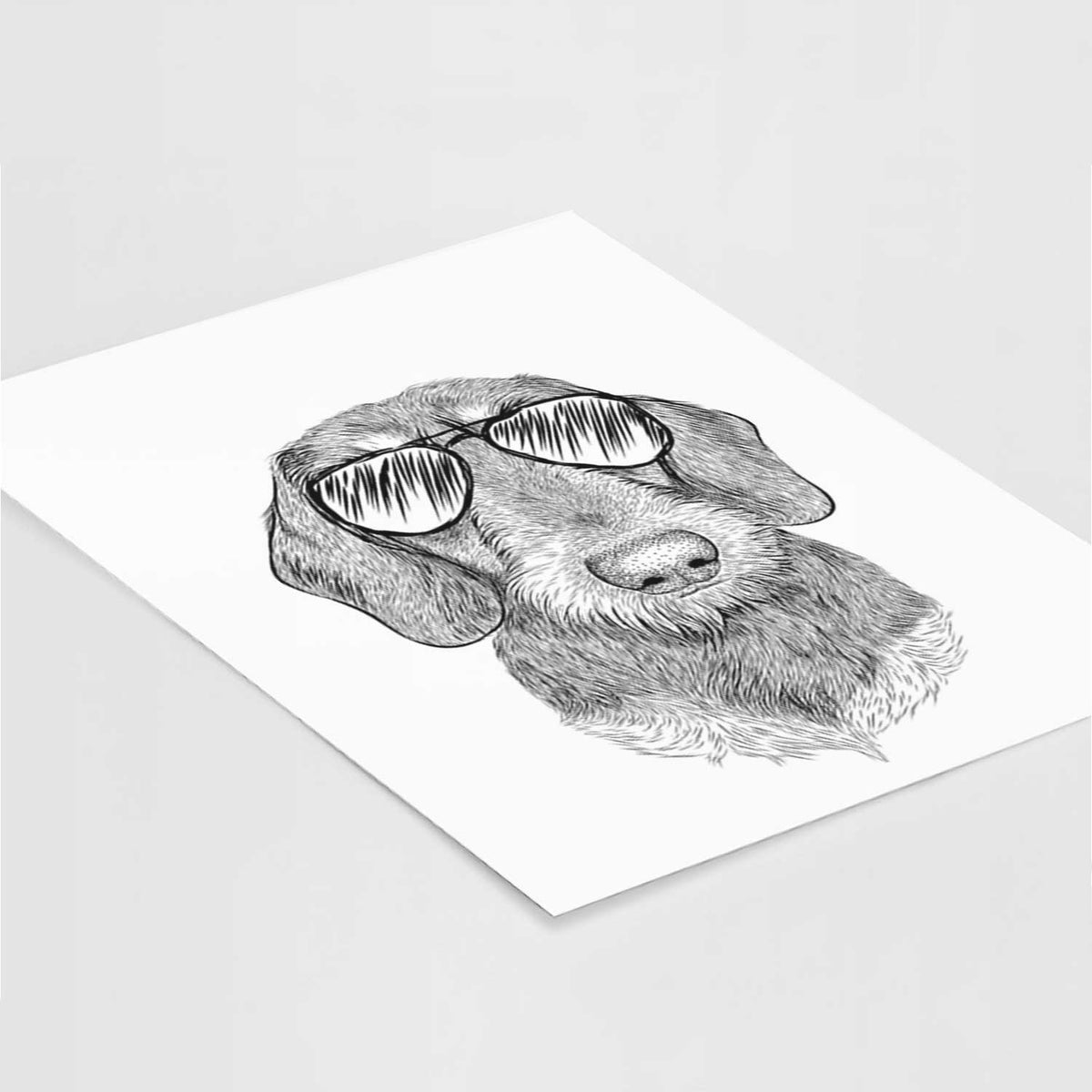 Truman the Wirehaired Dachshund Art Print