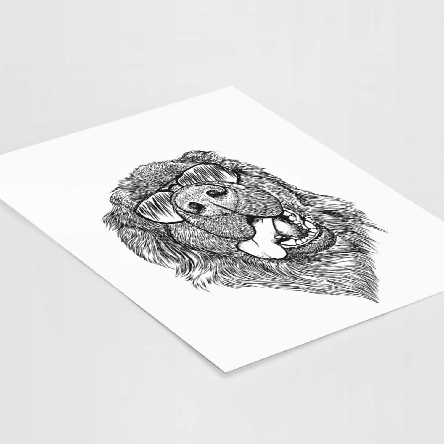 Tuna the Newfoundland Art Print