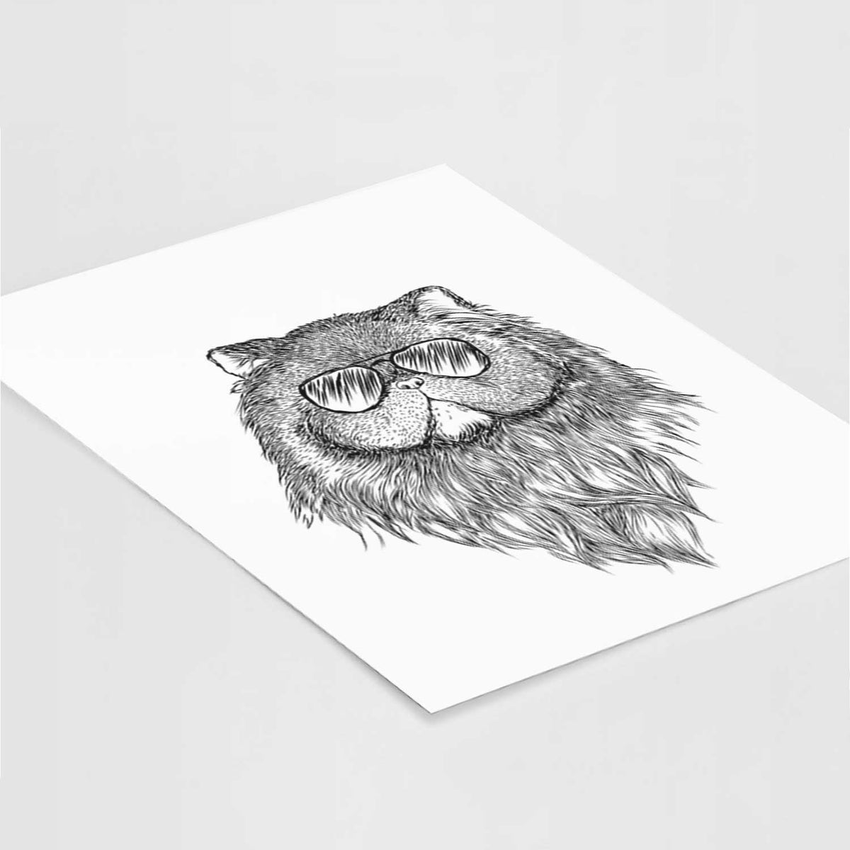 Vader the Persian Cat Art Print