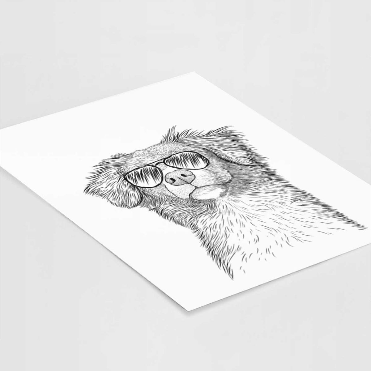 Vixen the Nova Scotia Duck Tolling Retriever Art Print