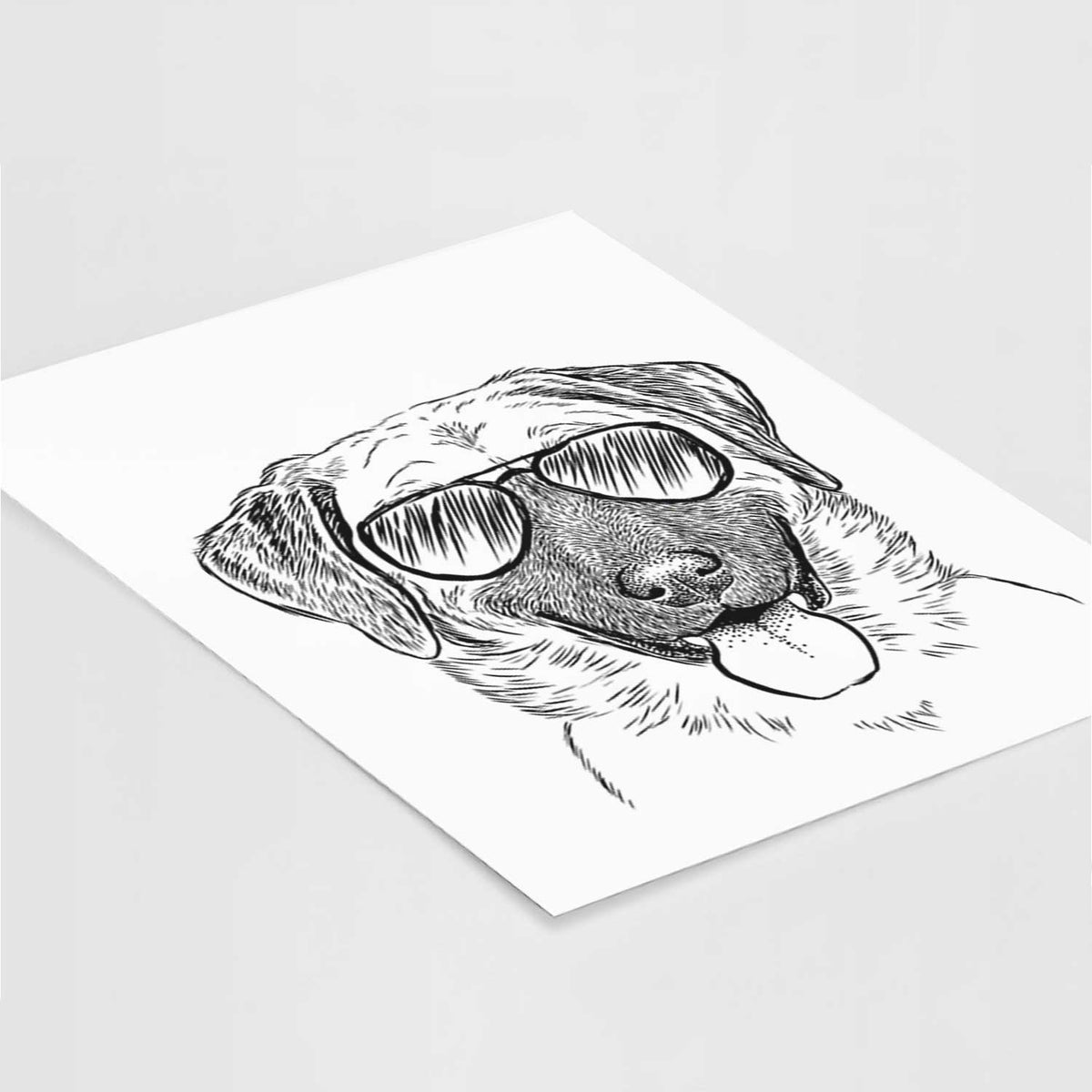 Willow the Anatolian Shepherd Art Print