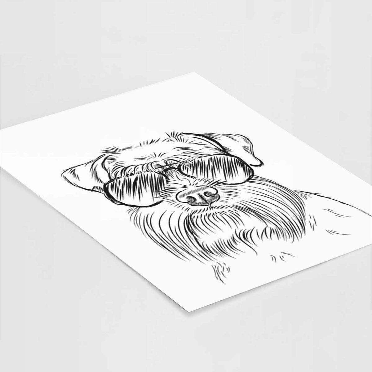 Wrigley the Schnauzer Art Print