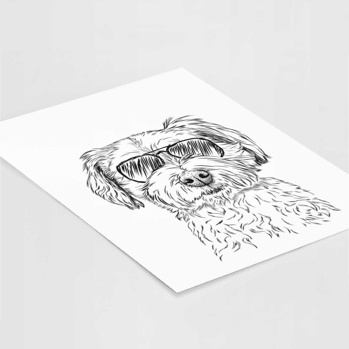 Wyatt the Coton de Tulear Art Print
