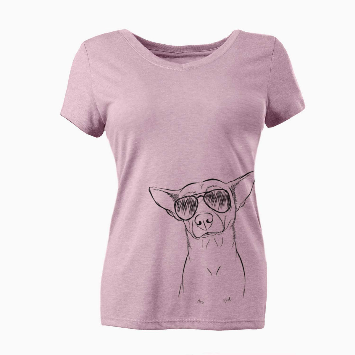 Aviator Yogi the Mixed Breed - Women's V-neck Shirt