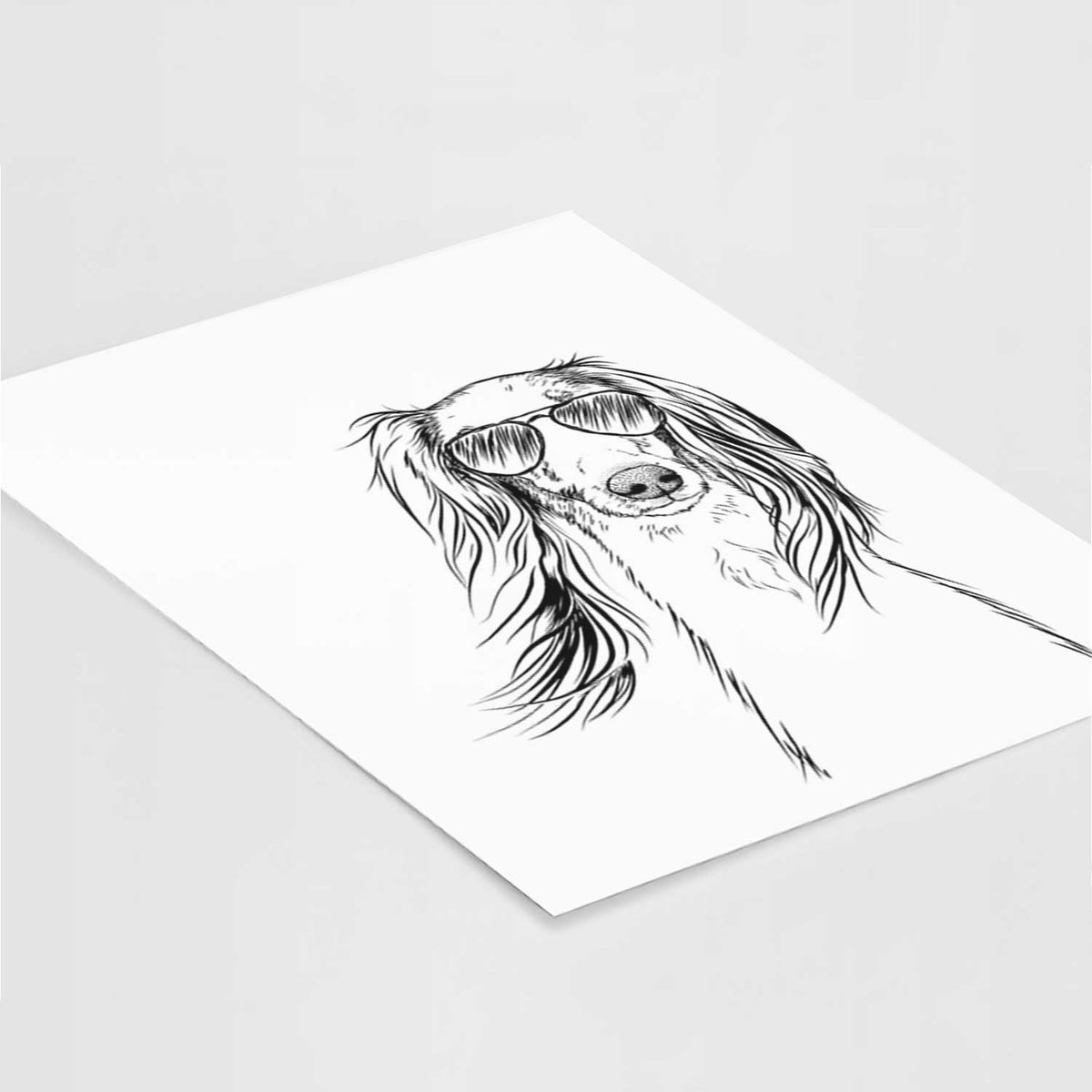 Zahra the Afghan Hound Art Print
