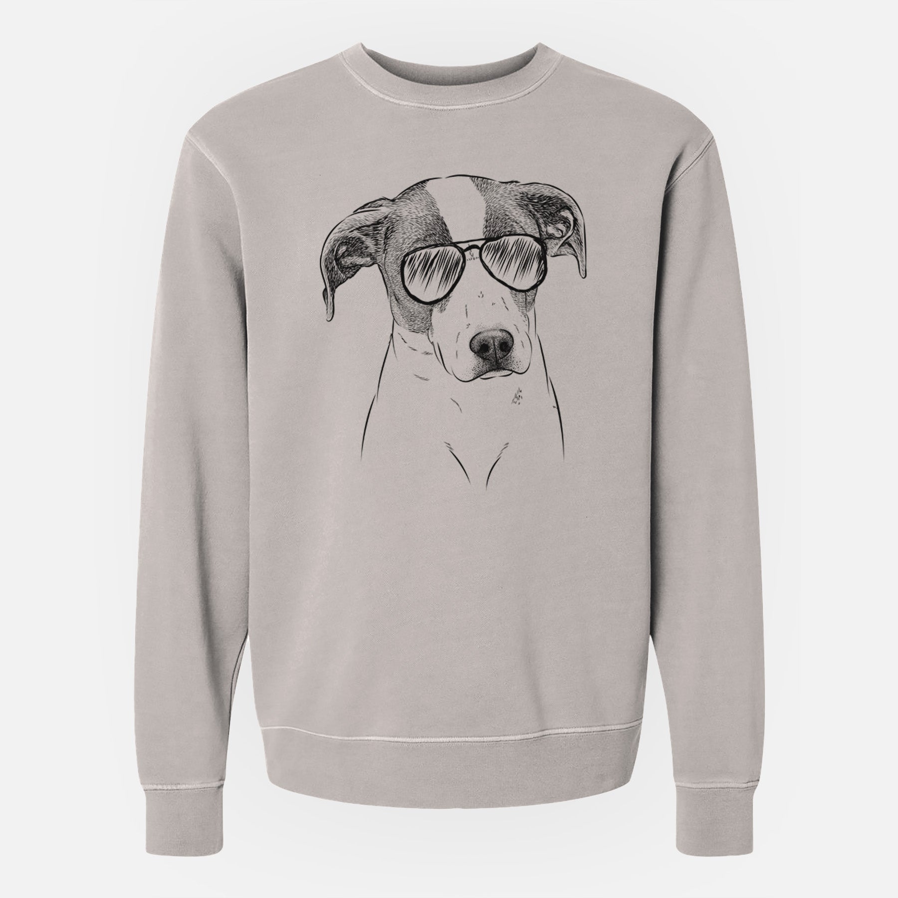 Aviator Zephyr the Pointer Mix - Unisex Pigment Dyed Crew Sweatshirt