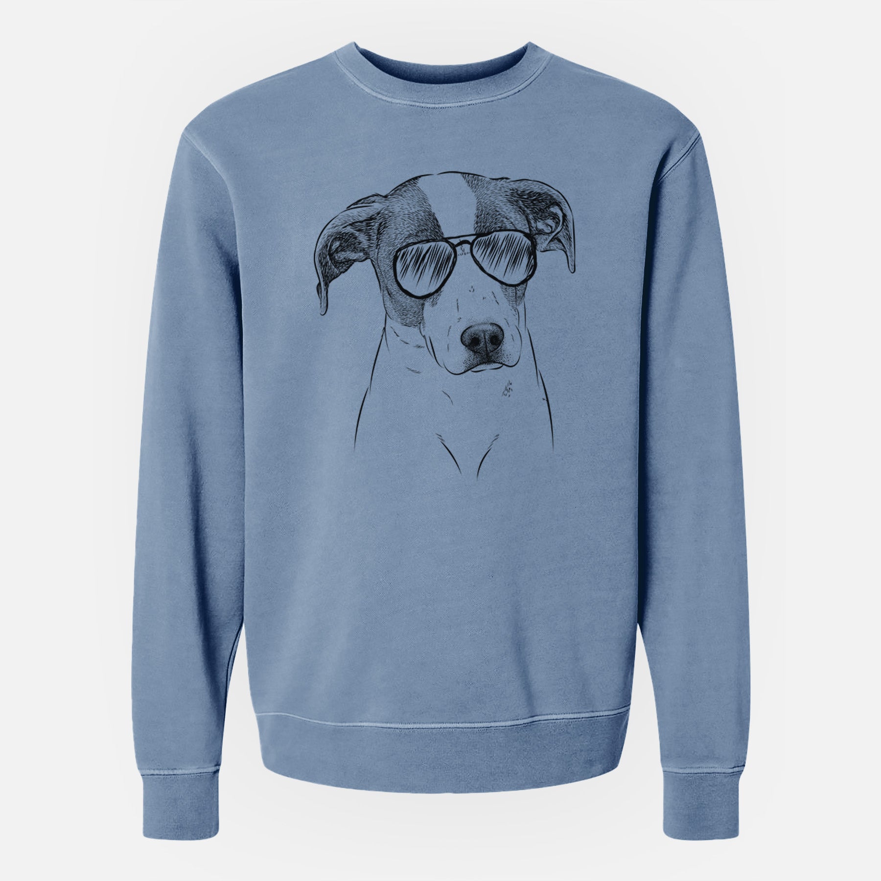 Aviator Zephyr the Pointer Mix - Unisex Pigment Dyed Crew Sweatshirt