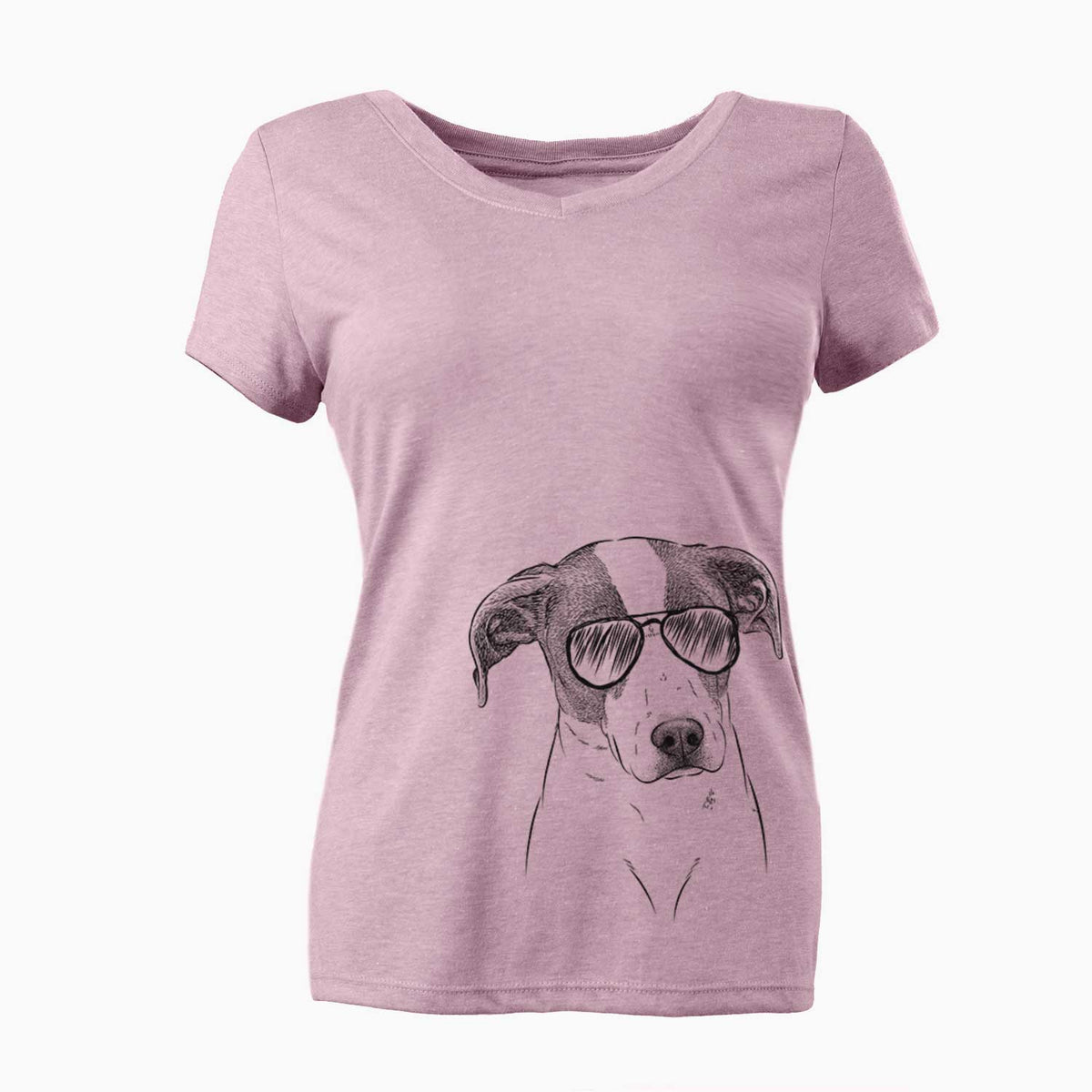 Aviator Zephyr the Pointer Mix - Women's V-neck Shirt