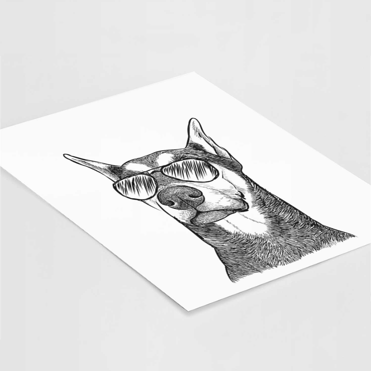 Zeus the Doberman Pinscher Art Print