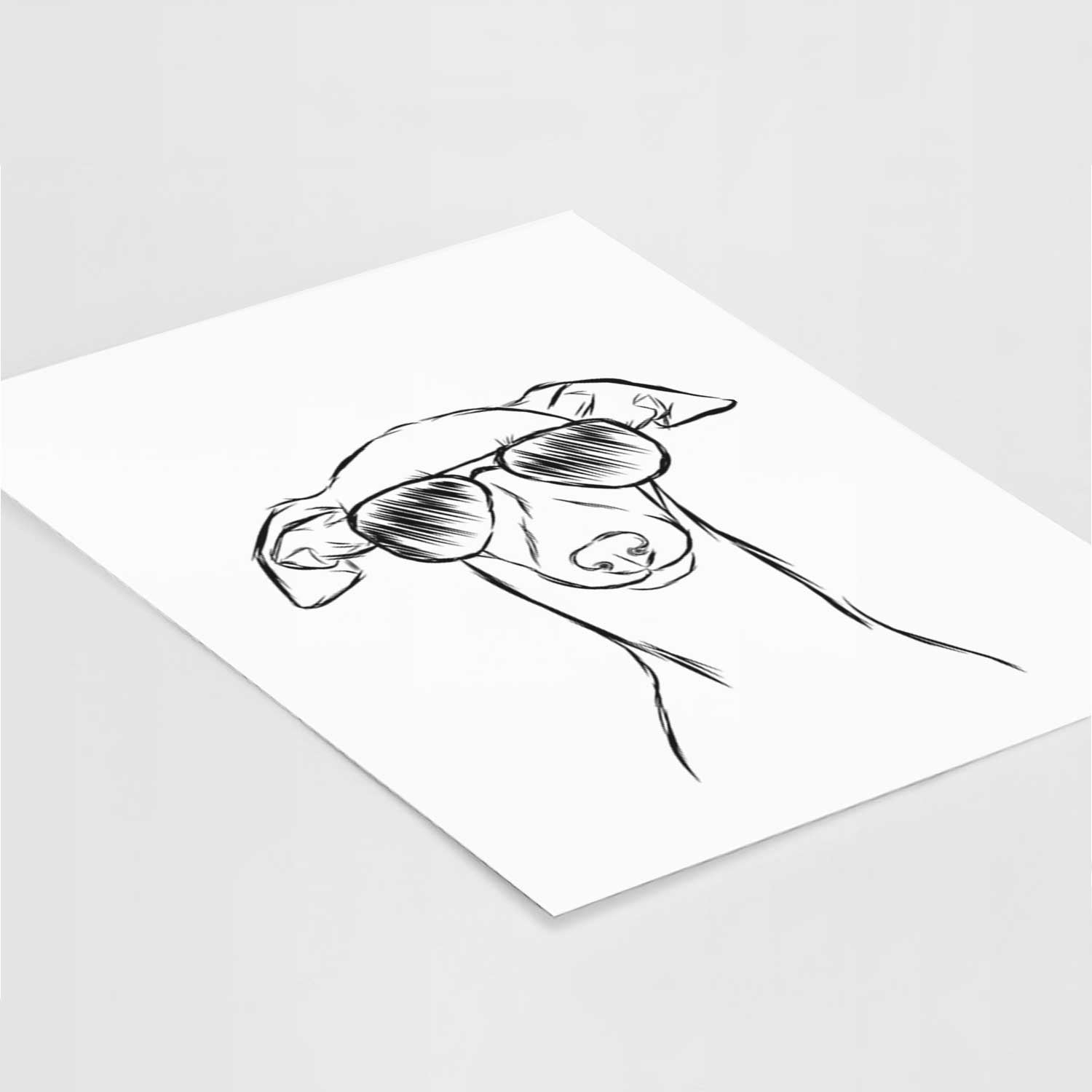 Ziggie the Italian Greyhound Art Print