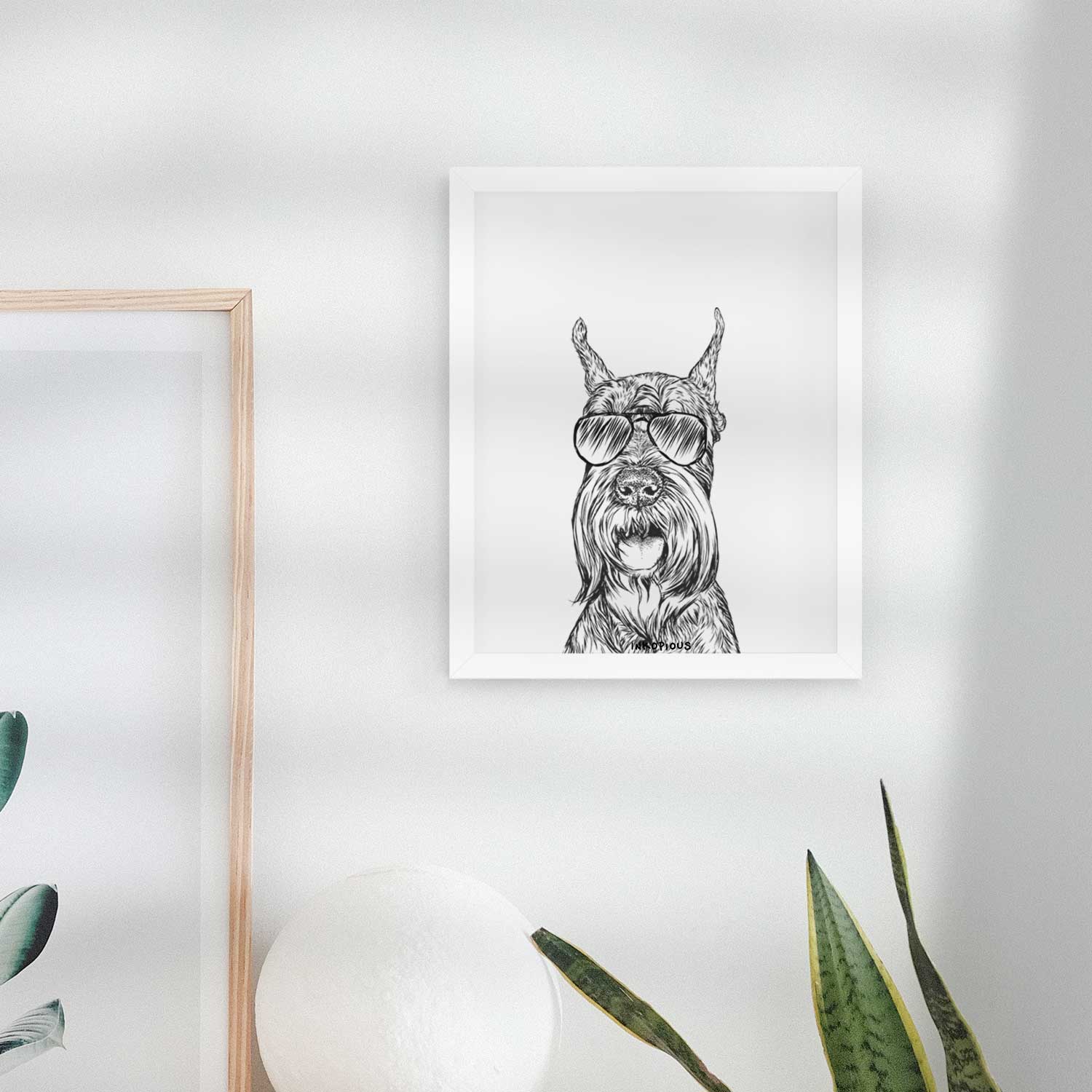 Zuri the Giant Schnauzer Art Print