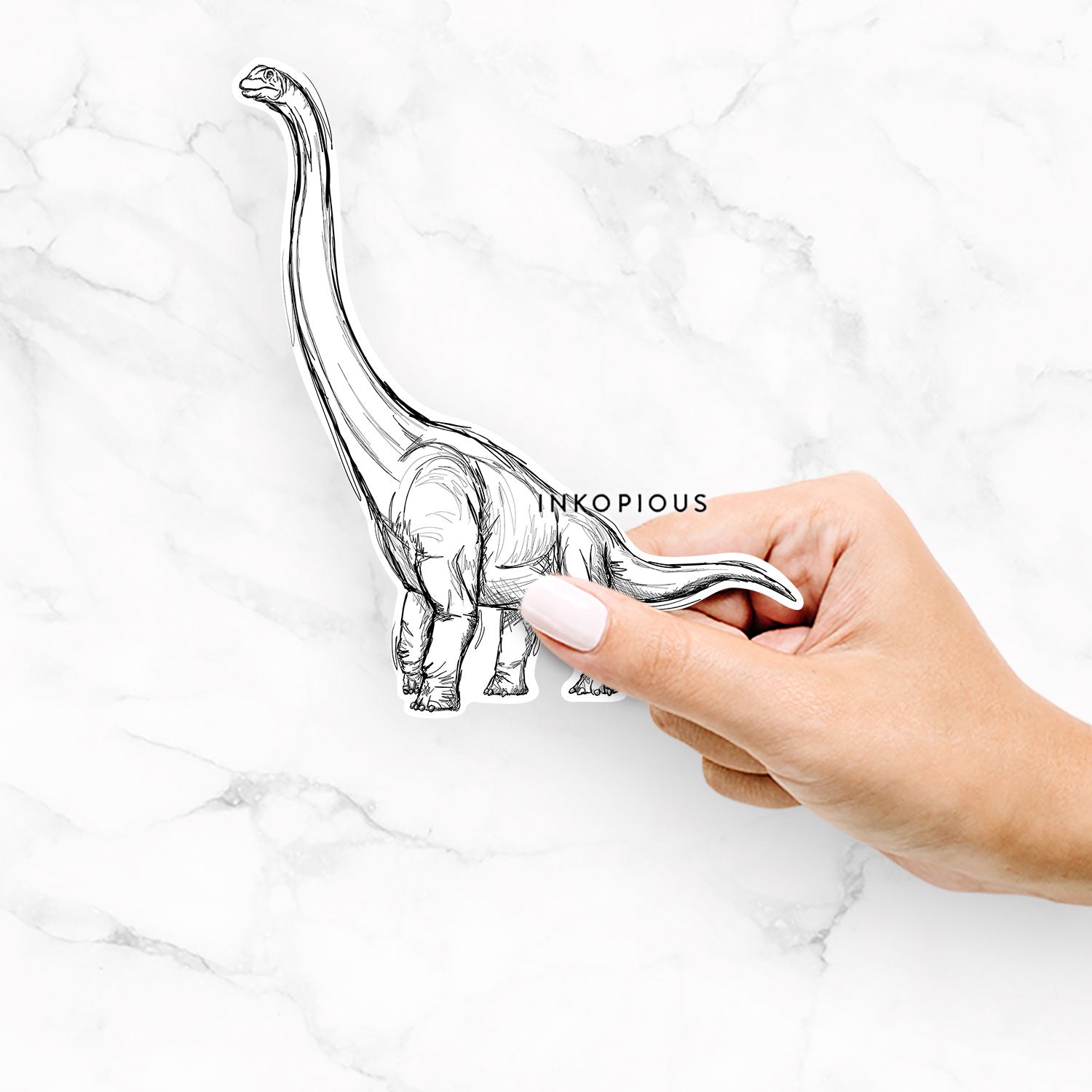 Apatosaurus / Brachiosaurus / Brontosaurus - Decal Sticker