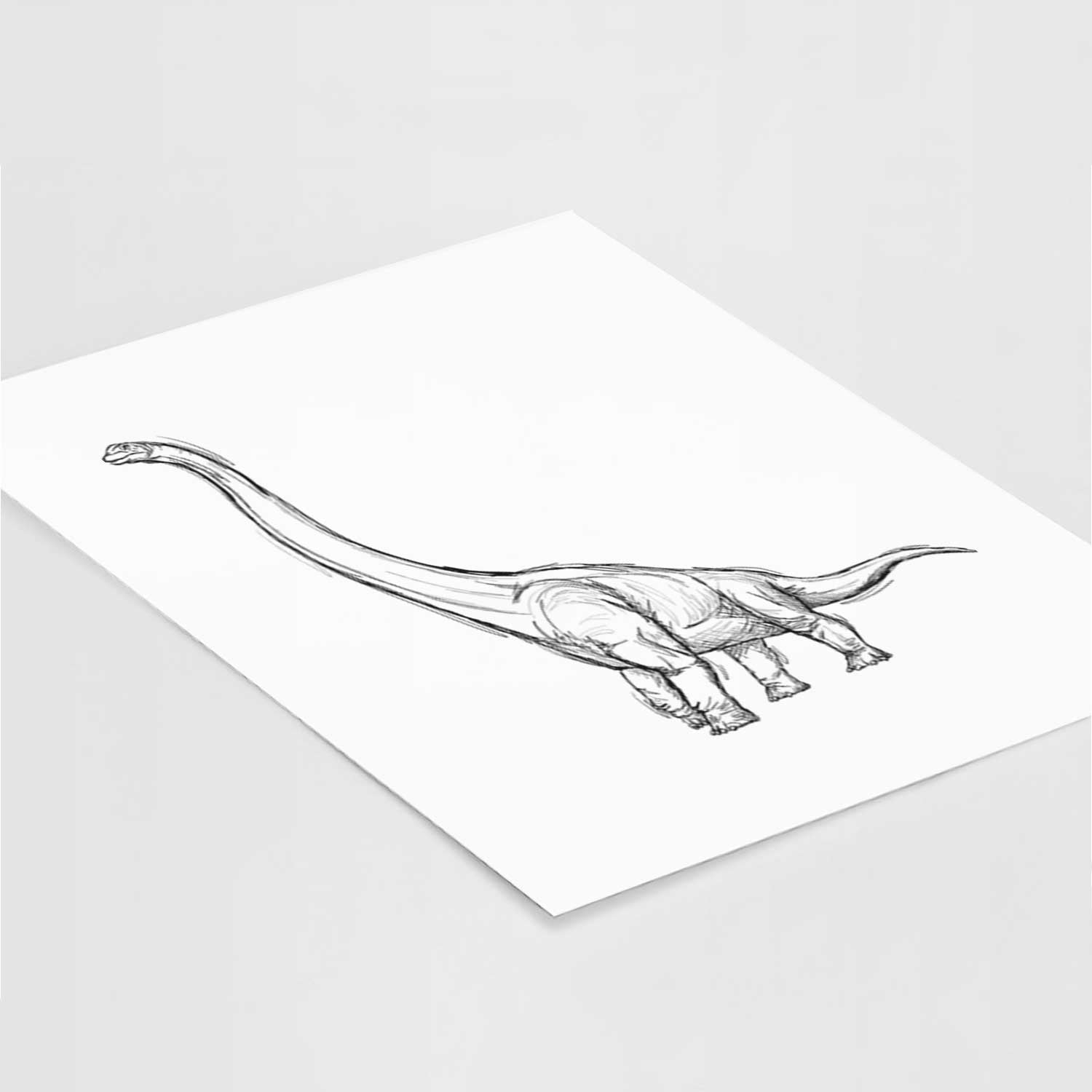 Apatosaurus / Brachiosaurus / Brontosaurus Art Print