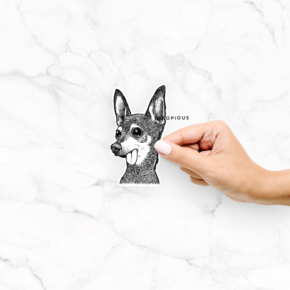 Aaron the Chihuahua - Decal Sticker