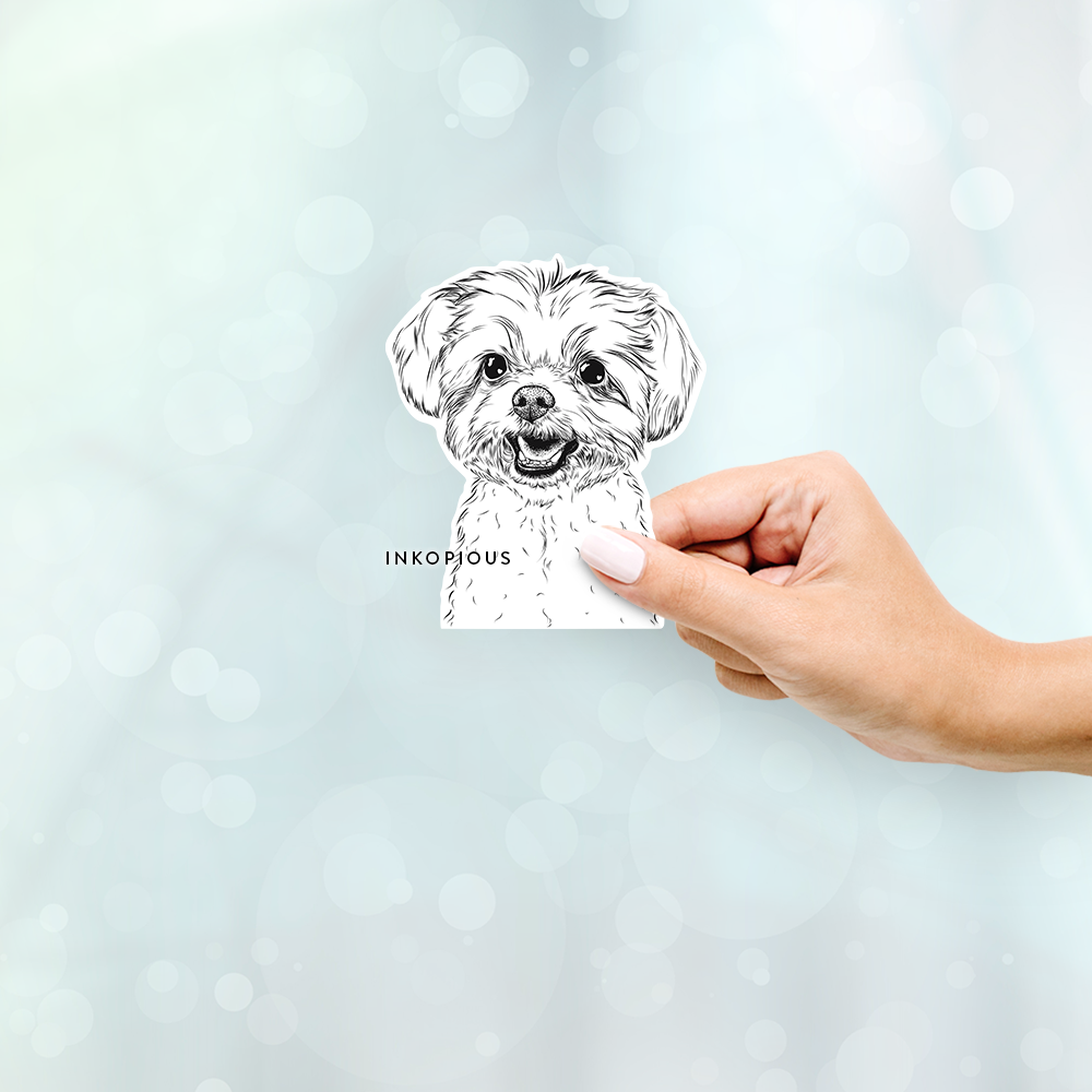 Aspen the Morkie - Decal Sticker