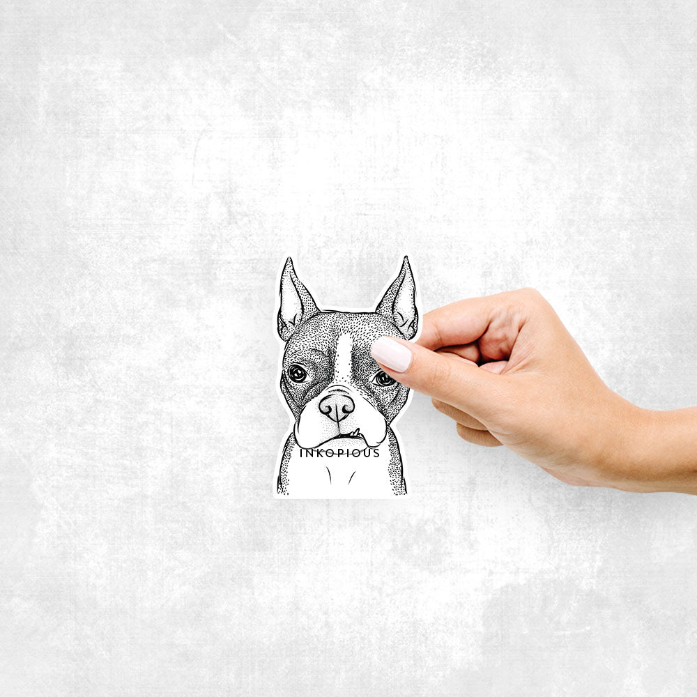 Bean the Boston Terrier - Decal Sticker