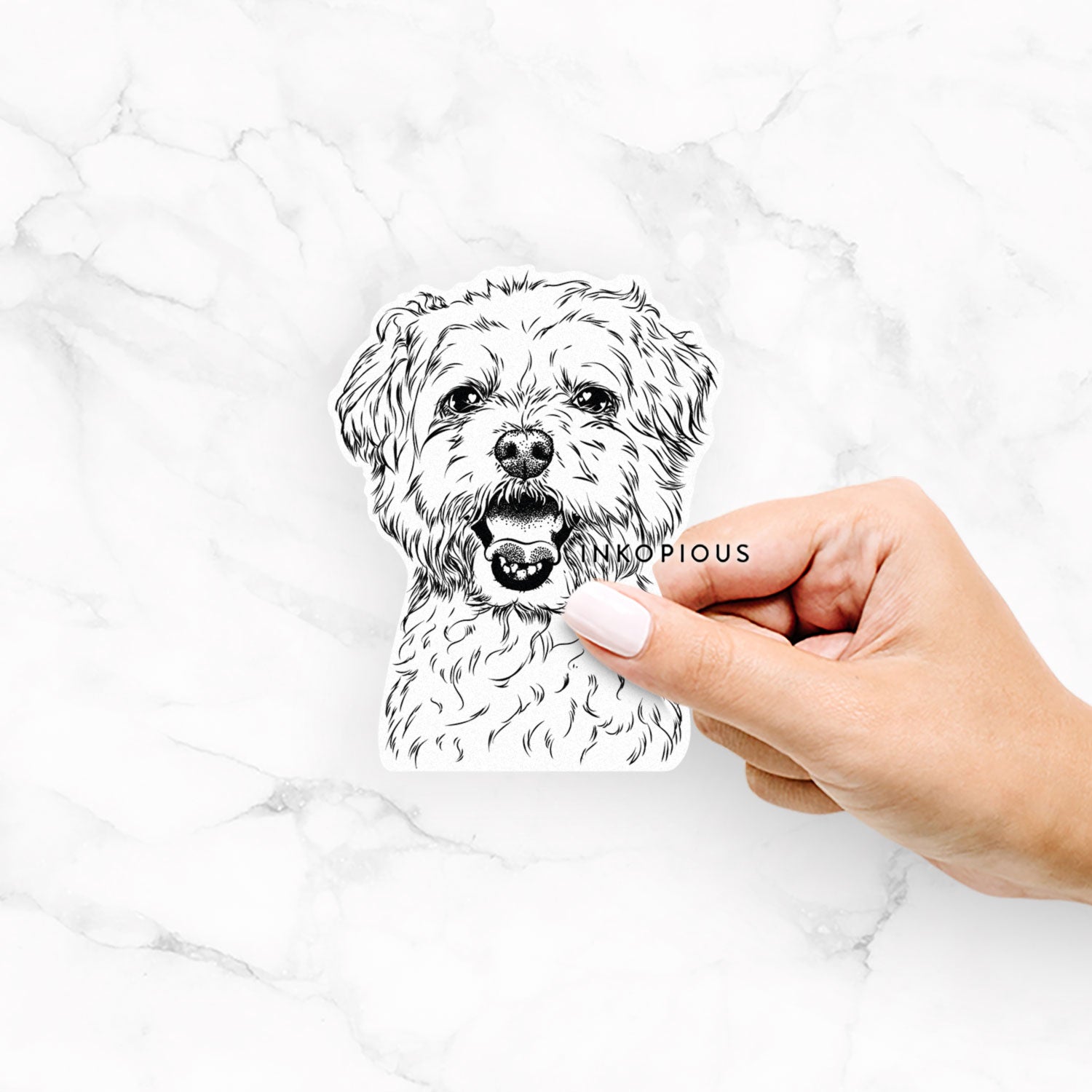 Belle the Maltipoo - Decal Sticker