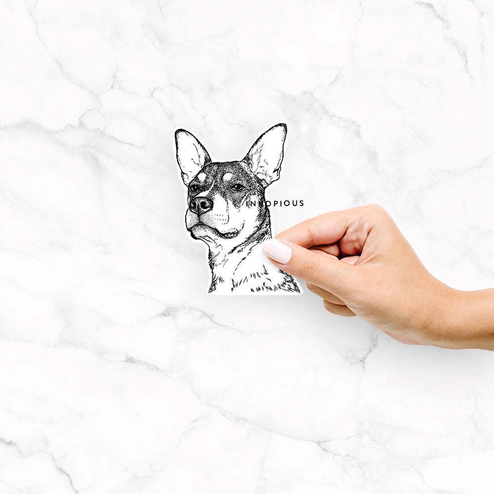 Bill the Heeler Mix - Decal Sticker