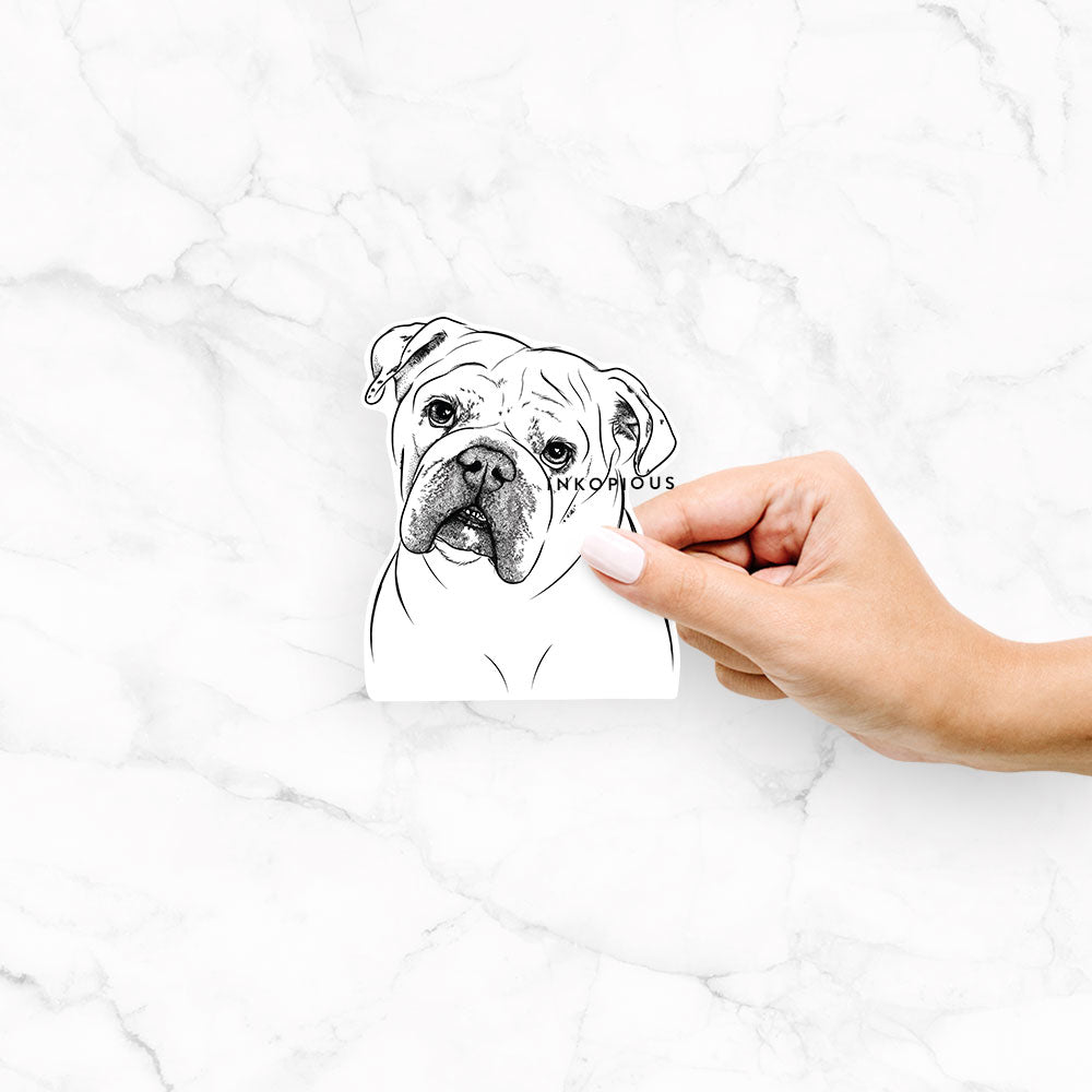 Blossom the English Bulldog - Decal Sticker