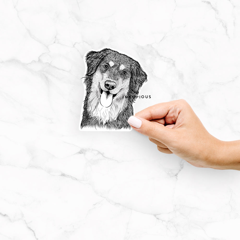 Brodie the Golden Aussie - Decal Sticker