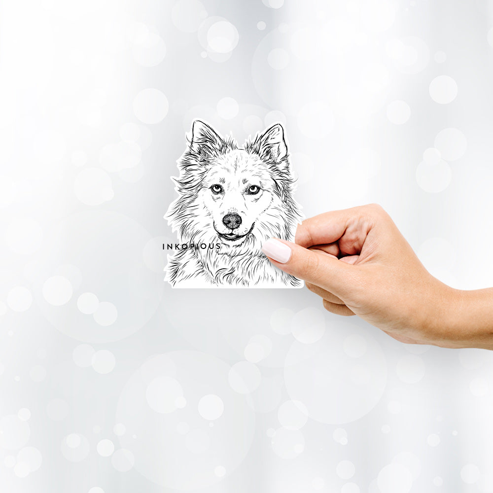 Chia the Samoyed/Husky Mix - Decal Sticker