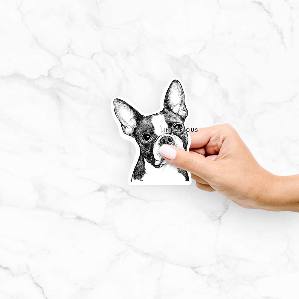 Dee Dee the Boston Terrier - Decal Sticker