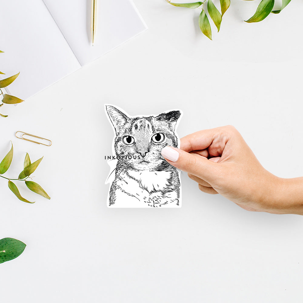 Eleanor the Domestic Shorthair - Decal Sticker