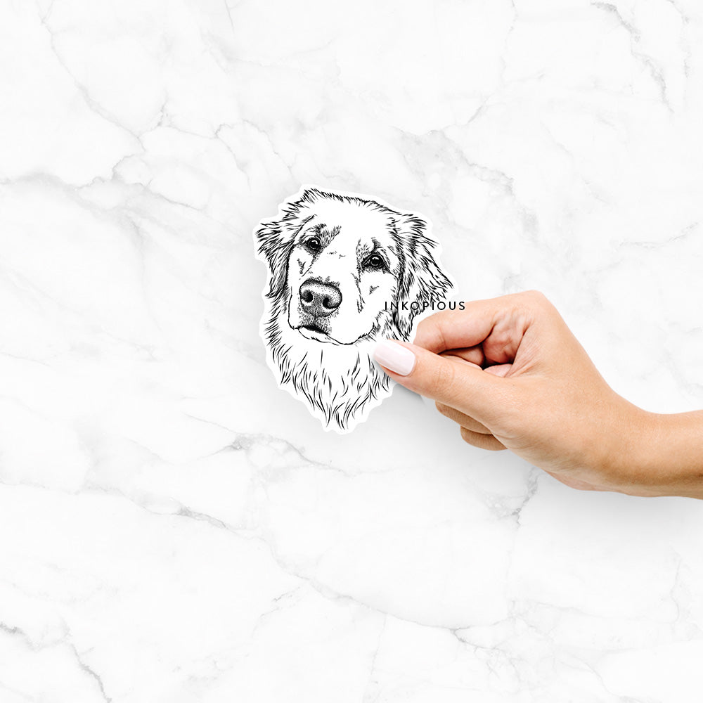 Fiona the Golden Retreiver - Decal Sticker