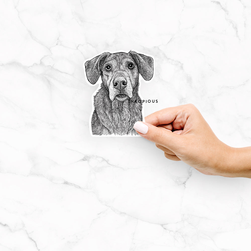Gravy the Plott Hound Beagle Mix - Decal Sticker