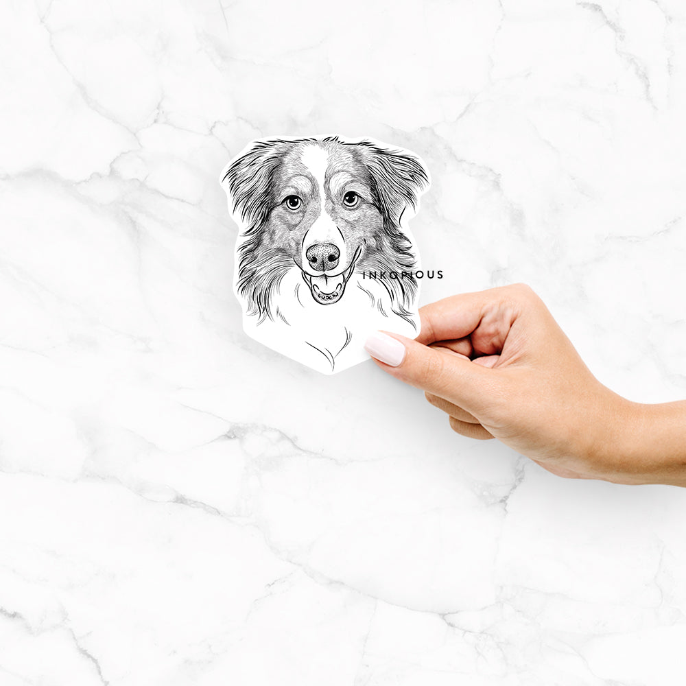 Hattie the Australian Shepherd - Decal Sticker