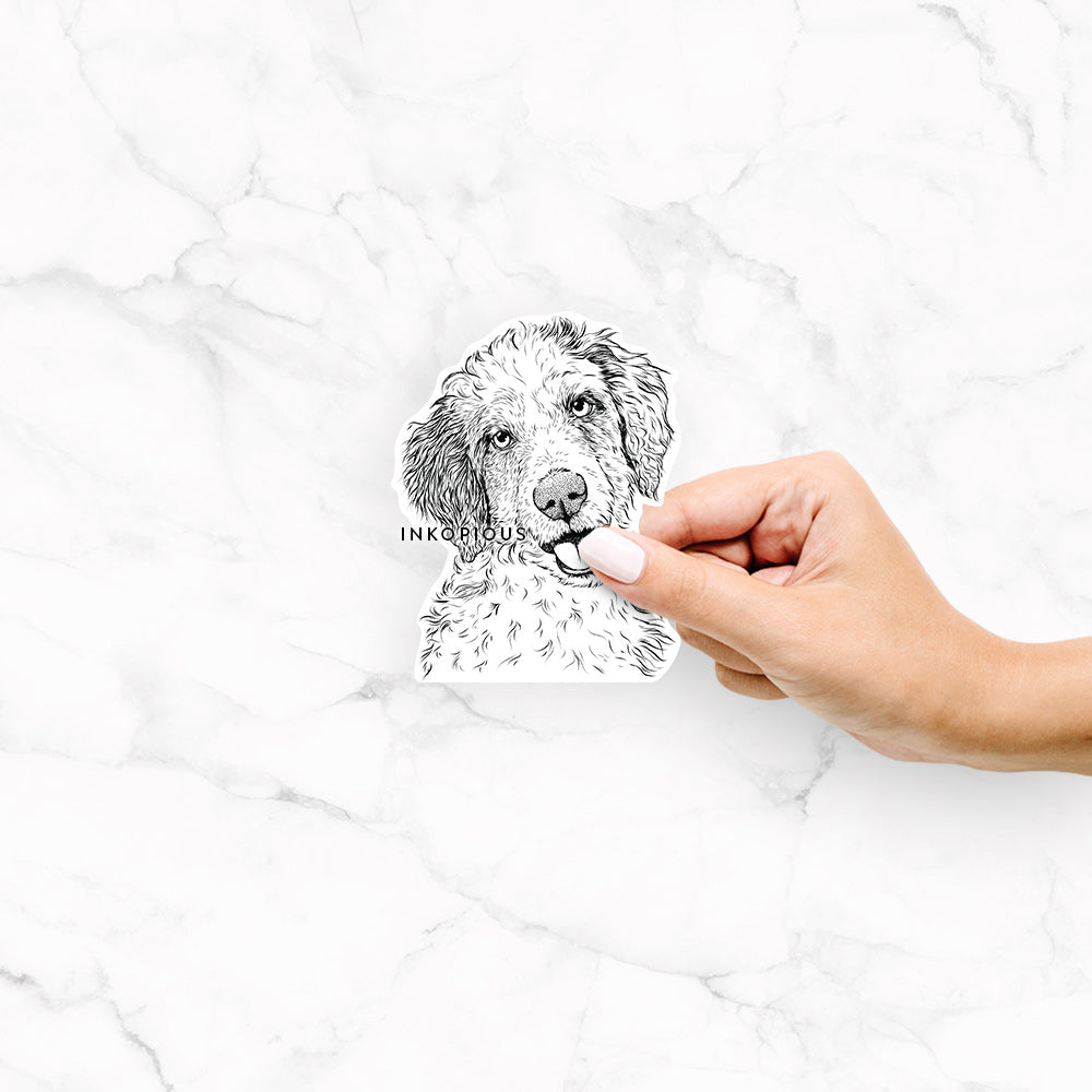 Hoge the Aussiedoodle - Decal Sticker