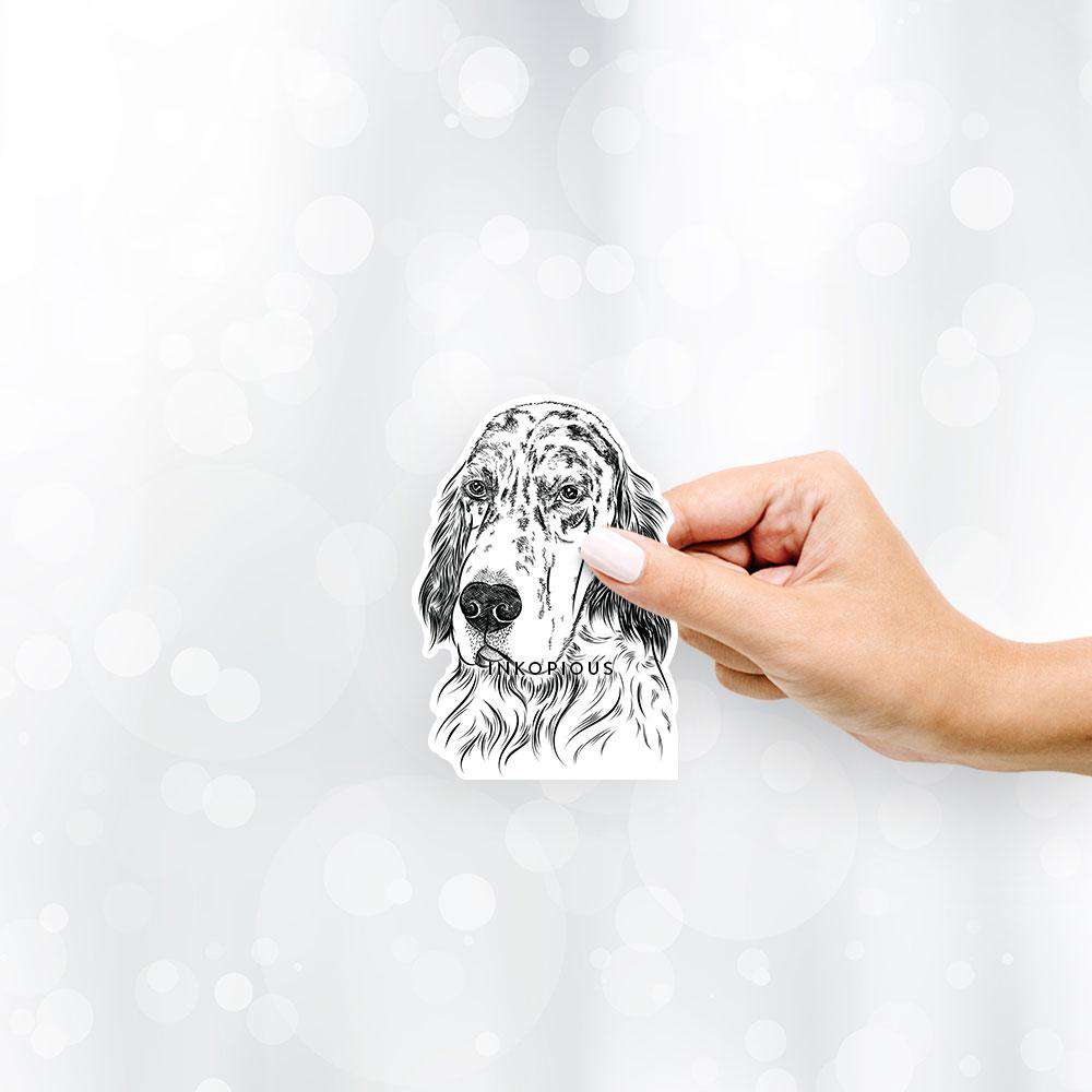 Hutch the English Setter - Decal Sticker
