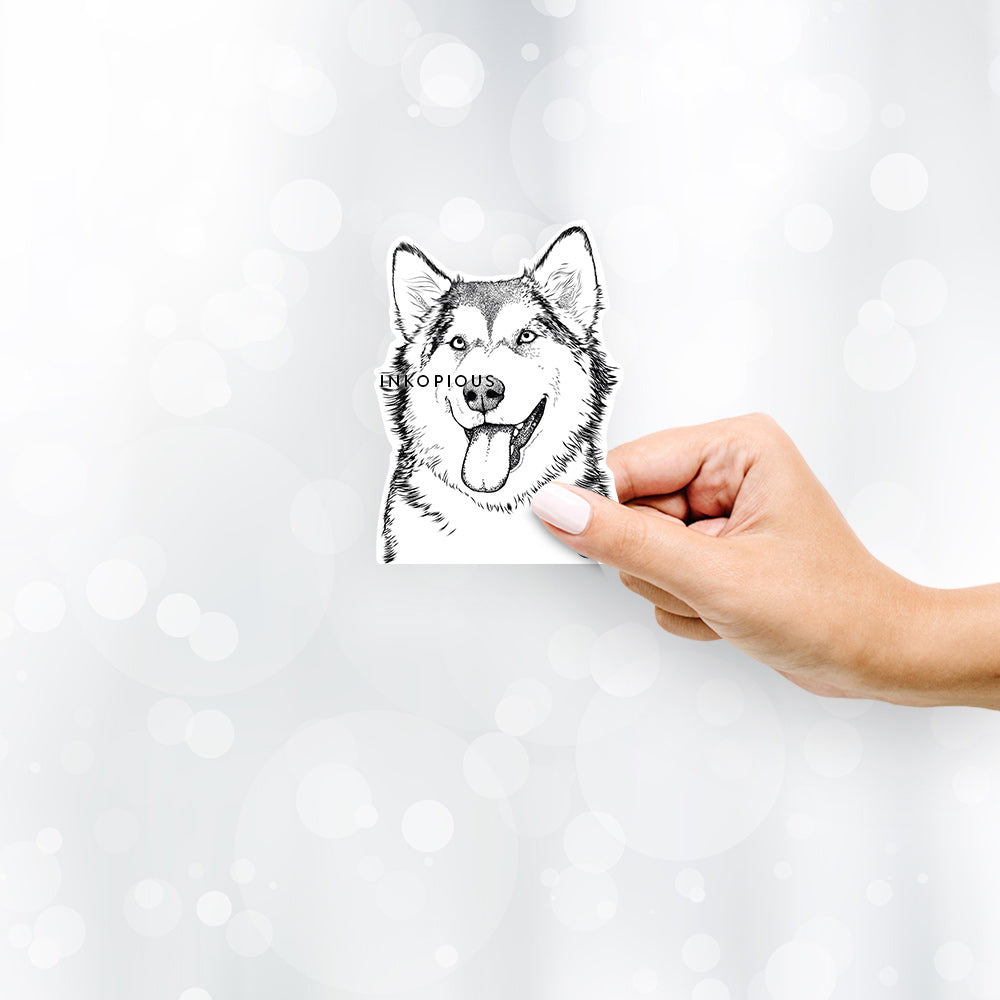 Kaskae the Alaskan Malamute - Decal Sticker