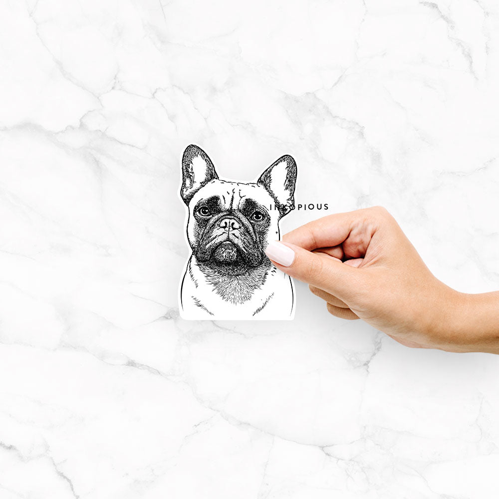 Kingsleigh the French Bulldog - Decal Sticker