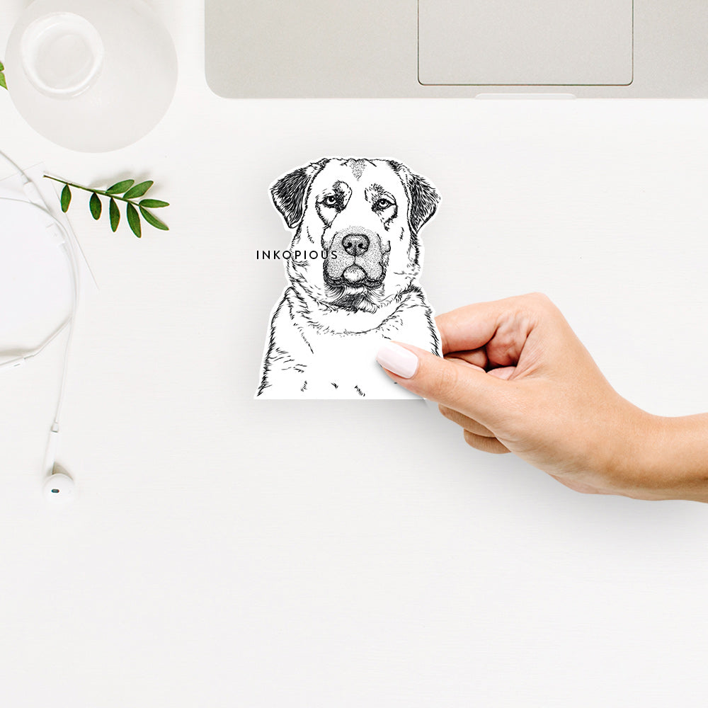 Loca the Anatolian Shepherd - Decal Sticker