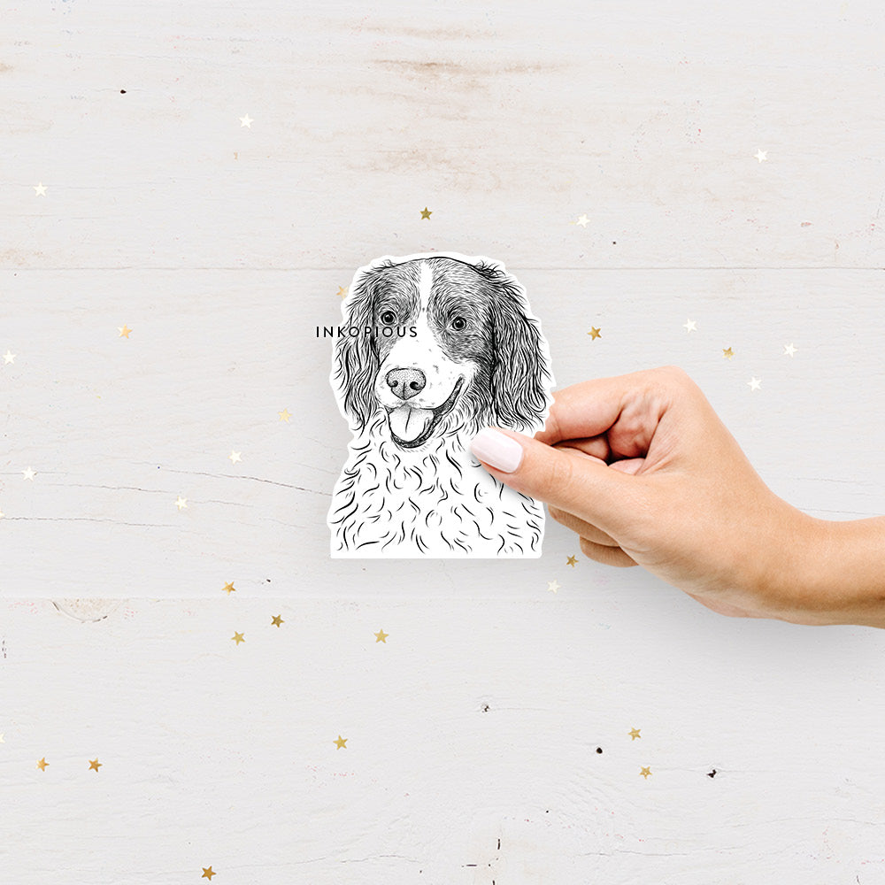 Maggie the English Springer Spaniel - Decal Sticker