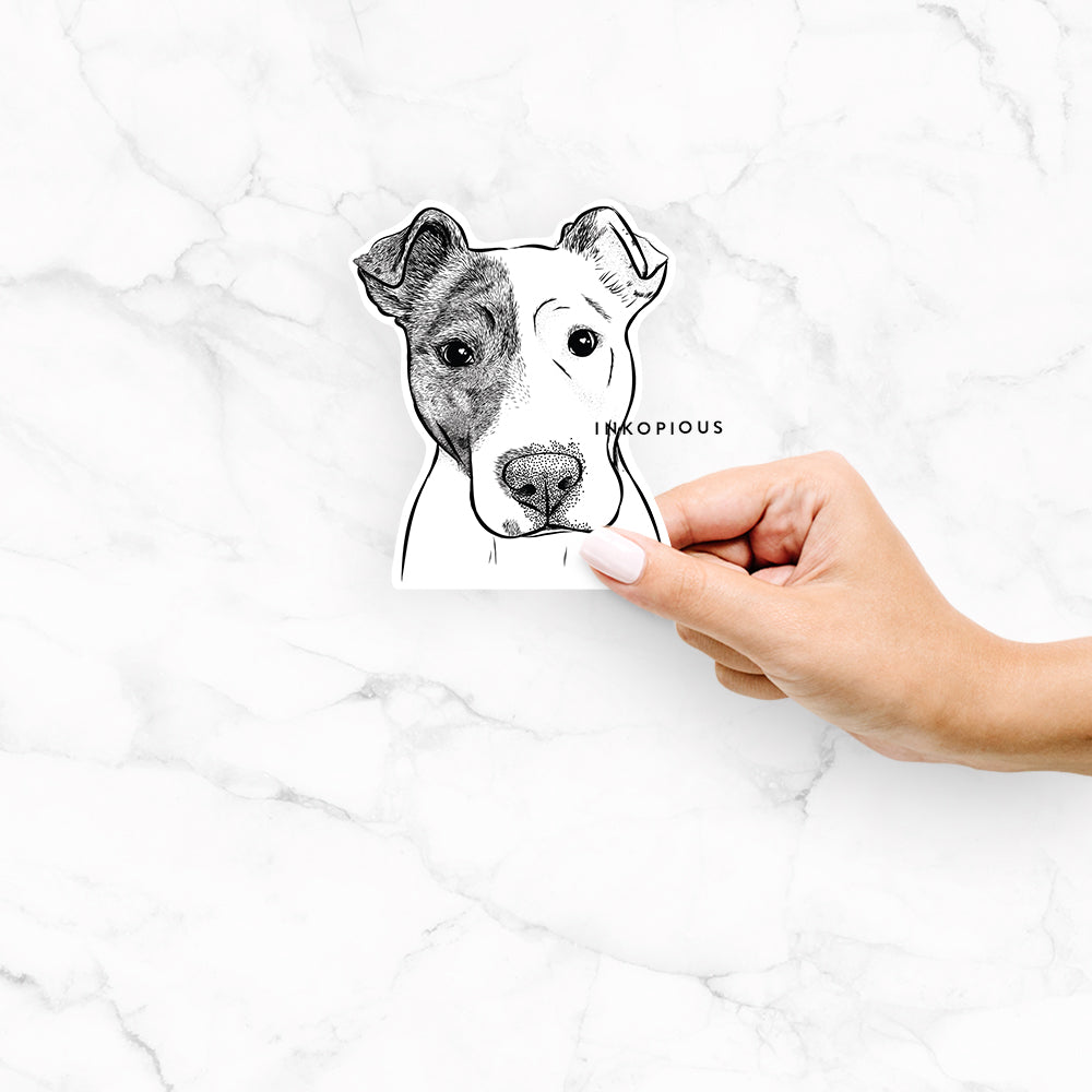 Manchi the Pitbull Mix - Decal Sticker