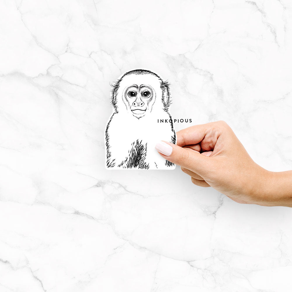 Marcel the Capuchin Monkey - Decal Sticker