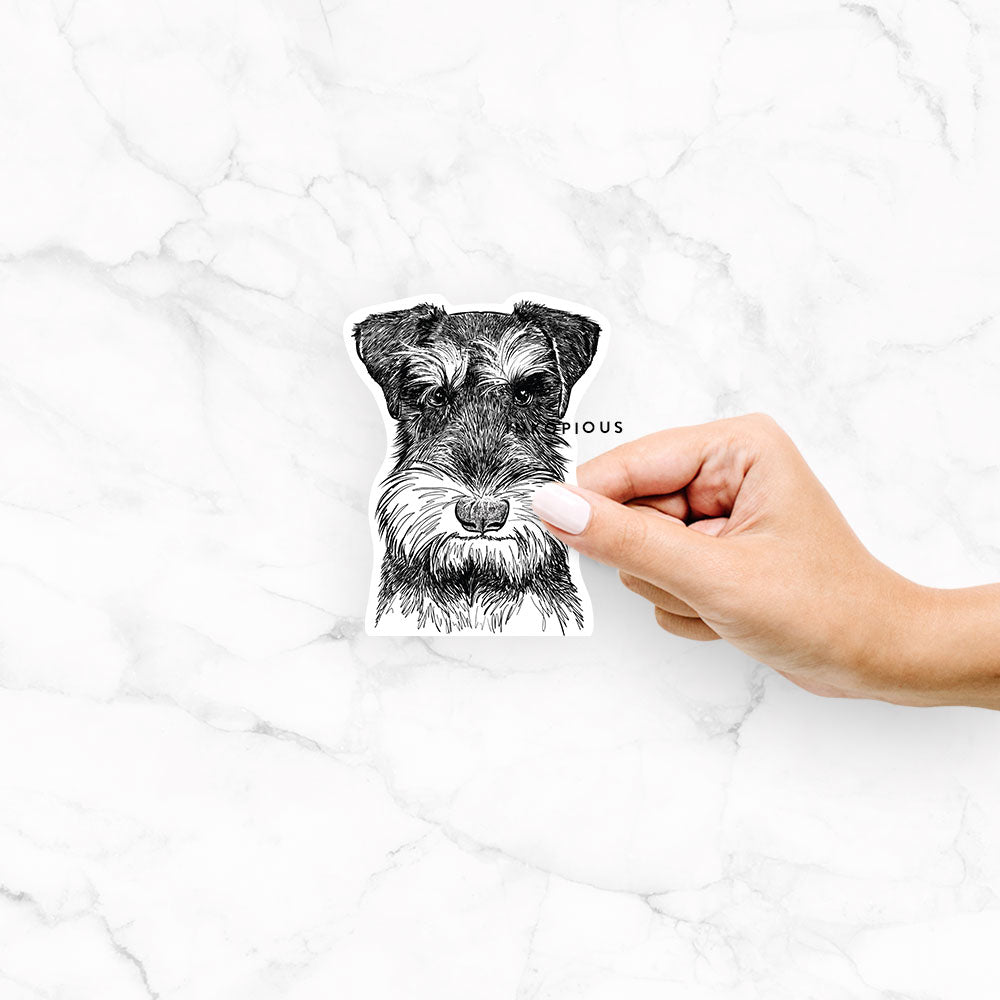 Murphy the Mini Schnauzer - Decal Sticker