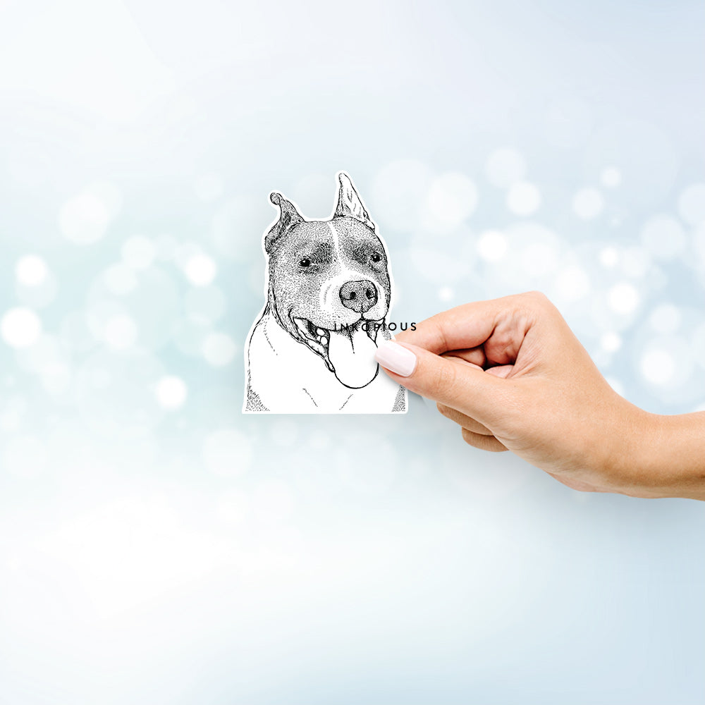 Piggy the American Staffordshire Terrier - Decal Sticker