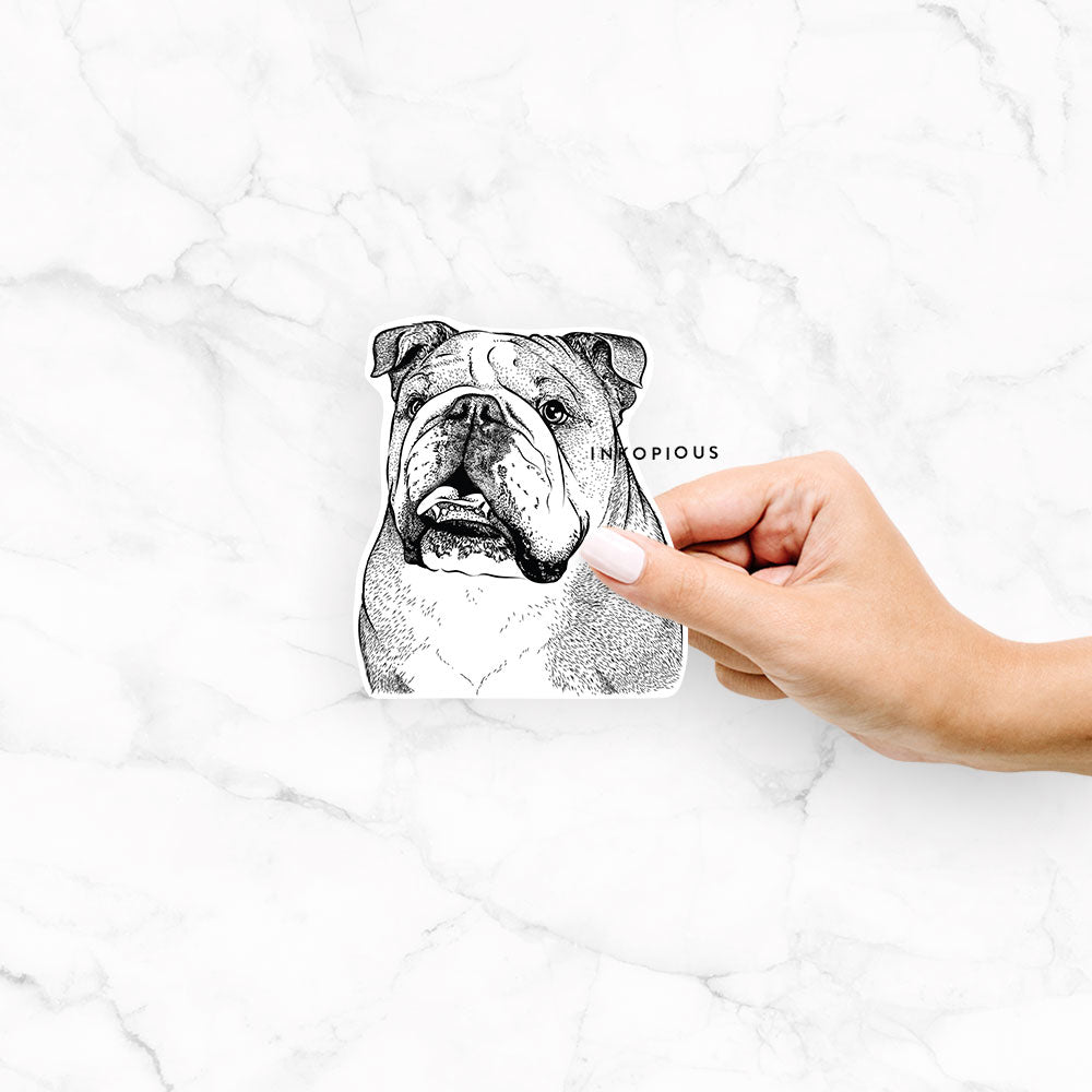 Piggy the English Bulldog - Decal Sticker