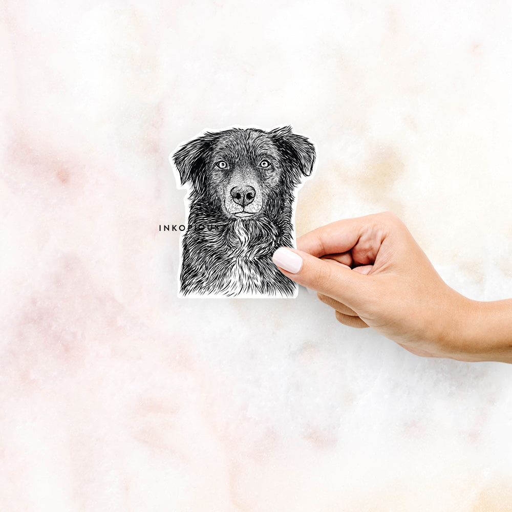 Pixel the Australian Shepherd - Decal Sticker