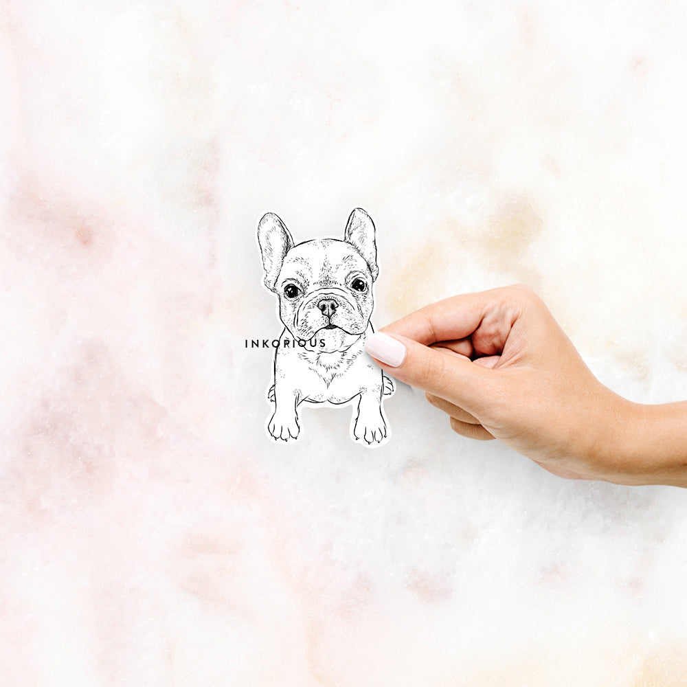 Puppy Pierre the French Bulldog - Decal Sticker