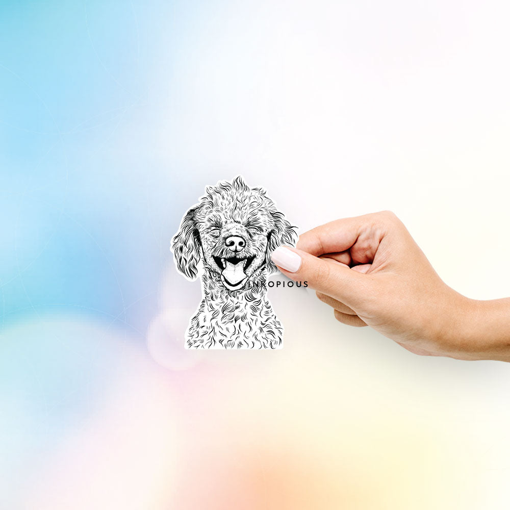 Rusty the Toy Poodle - Decal Sticker
