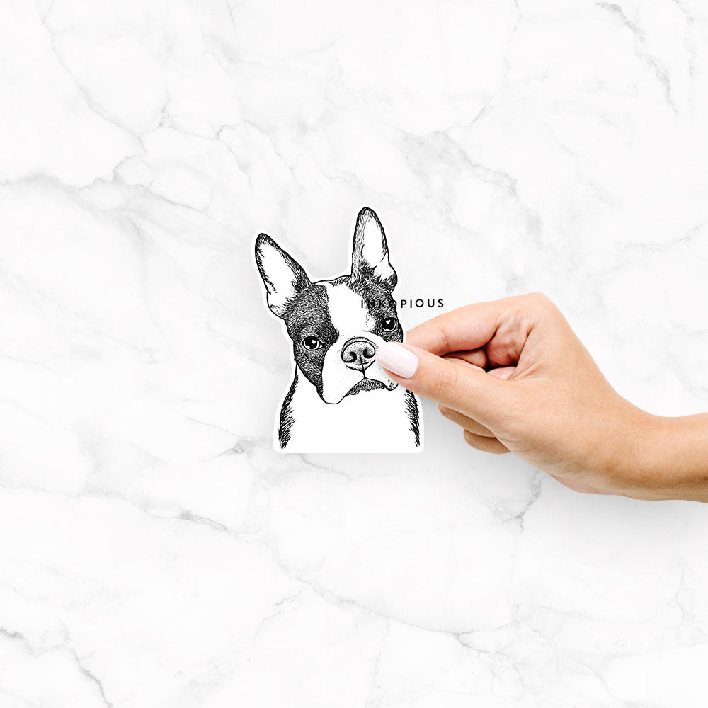 Samuel the Boston Terrier - Decal Sticker