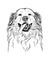 Shooter the Golden Retriever - Decal Sticker